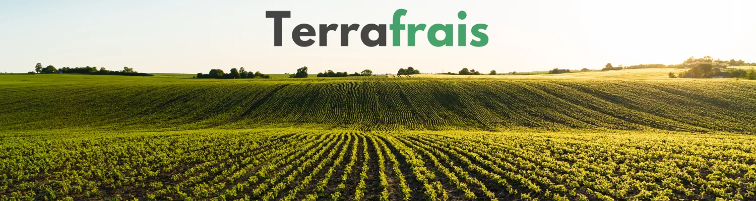 Image bannière à propos terrafrais